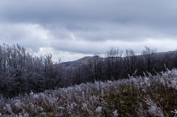 połonina Wetlińska szadź
