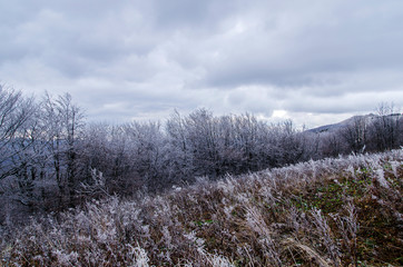 Bieszczady połonina Wetlińska