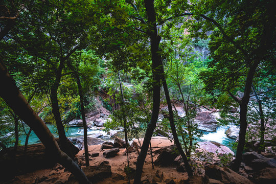 Riverside walk trail with virgin river in summer.