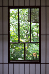Window Frame Japan