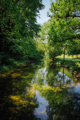 rivière et reflets d'arbres en été dans l'eau