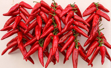 Piment espelette