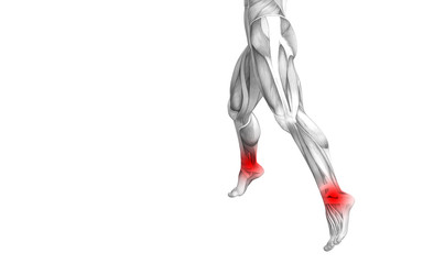 Conceptual ankle human anatomy with red hot spot inflammation or articular joint pain for leg health care therapy or sport muscle concepts. 3D illustration man arthritis or bone osteoporosis disease