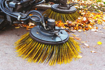 the car cleans the asphalt road from autumn leaves