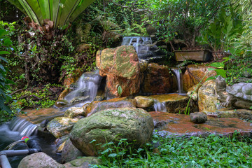 Garden landscape with waterfall, rocks and green plants, Oasis and nature background concept.