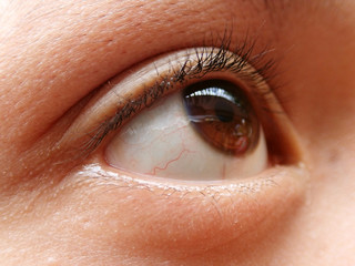 Close up of human eye