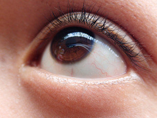 Obraz premium OLYMPUS DIGITAL CAMERA