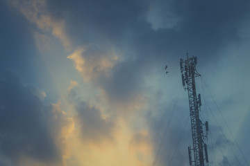 Obraz premium Evening sky Having a bird, going home. It's so beautiful. I love nature.