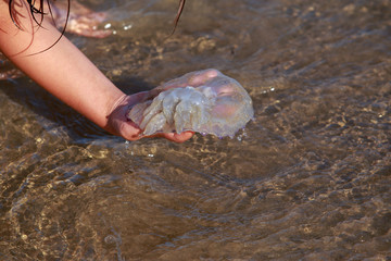 Jellyfish with tentacles © deviddo