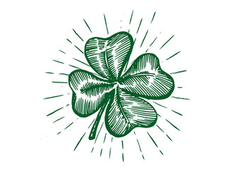Patrick day. Clover, hand drawn illustration.