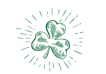 Patrick day. Clover, hand drawn illustration
