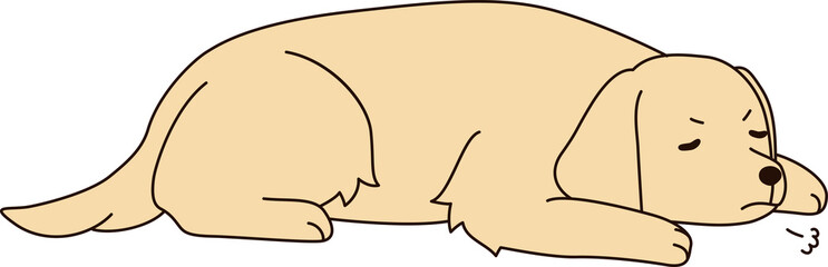 ゴールデンレトリバー（ふて寝）
