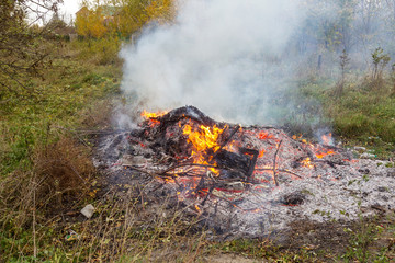 Farmer burns green waste in the concept of bonfire, bonfire outdoors, agriculture. Fallen leaves, branches and household trash burns in an autumn fire