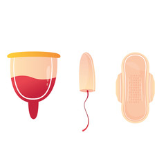 Modern vector illustration of feminine hygiene products. Menstrual cup, pads and tampon. Menstrual protection. Set of women intimate items