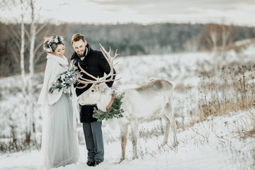 Winter wedding. The bride and groom walk with the deer.