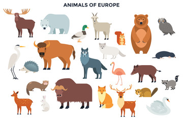 Modern Infographic Template