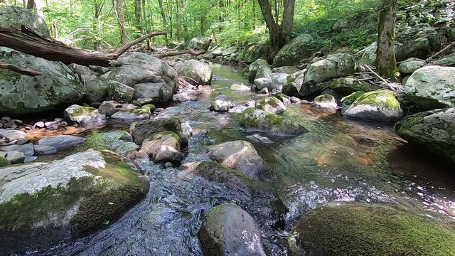 Hazel River, Shenandoah Virginia - Wide Shot looking Down River
