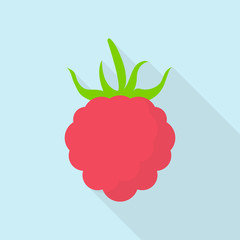 raspberry icon in flat style with long shadow, isolated vector illustration on blue transparent background