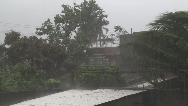 Hurricane Hits Town With Strong Wind With Strong Winds - Megi