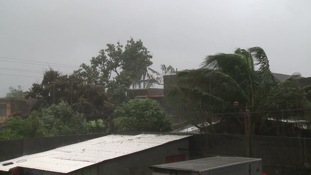 Strong Hurricane Winds Blow Over Town And Buildings - Megi