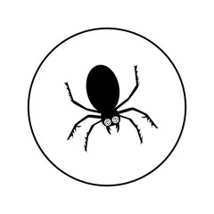 spider - vector logo icon for web. black on white. Minimalistic cartoon style.