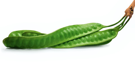 Bitter bean isolated on white background