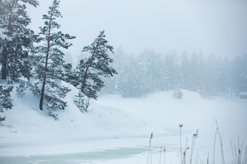 Finland, Espoo in winter. Baltic sea coast covered with snow in foggy day. Island with forest, pine trees and snow white land. Scenic  peaceful Scandinavian landscape