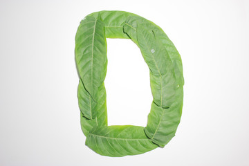 Letter D composed of green leaves