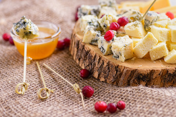 Cheese slices with honey and cranberries. Pieces of cheese on natural background. Different sorts of cheese on wooden board. Cheese with mold and honey close-up, side view.