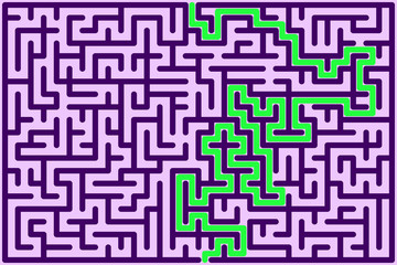 Rectangle maze with solution. Vector illustration.