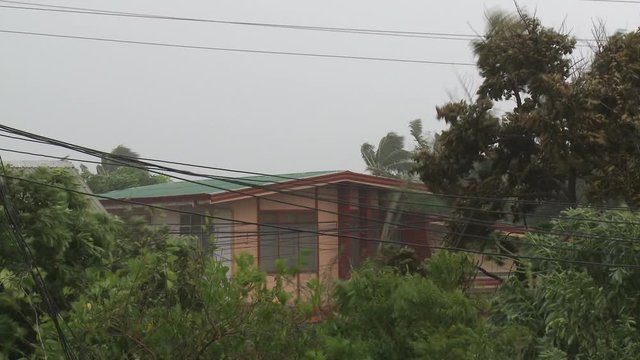 Trees Thrash And Sway In Strong Hurricane Winds Near House - Megi