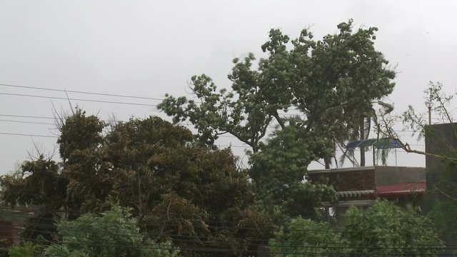 Trees Sway As Strong Hurricane Winds Hit - Megi