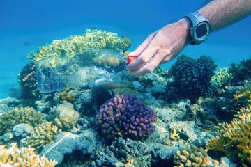 Man cleaning plastic bottle from the tropical coral reef. World ocean contaminated by  plastic....