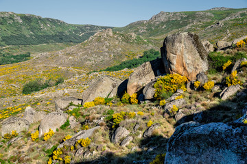Sierra Paramera en un día soleado. Avila. España. Europa.