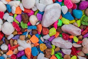 background of colorful, polished, semiprecious stone on grained wood