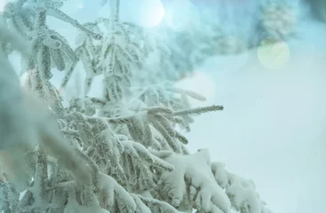 Plexiglas foto achterwand Winter season © Galyna Andrushko