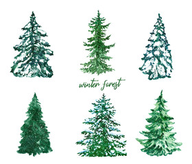 Watercolor pine trees set. Hand painted spruce forest illustration. Winter tree with snow, isolated on white background. For Christmas cards, New Year greetings.