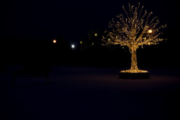 Gold lights Christmas Tree