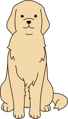 ゴールデンレトリバー（お座り）