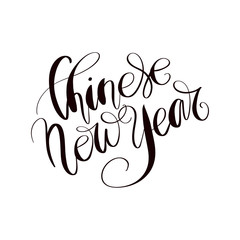 Chinese New Year Text Lettering Isolated On A White Background Handwritten Illustration