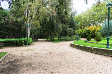 road through the city park in autumn