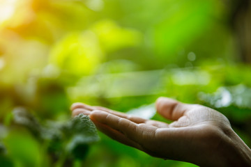 Technology, hand holding with environment Icons over the Network connection on green background.