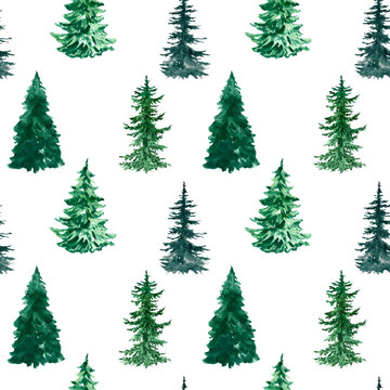 Watercolor pine tree seamless pattern. Hand painted spruce forest repeat print on wite background. Winter illustration with evergreen tree. Christmas backdrop.