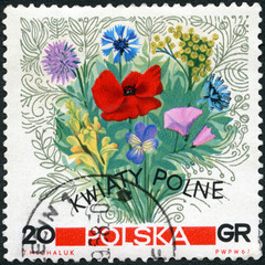 POLAND - 1967: shows Flowers of  Meadows, Flowers, 1967