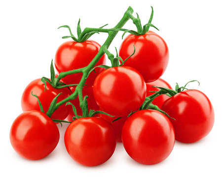 tomato cherry on branch isolated on white background, clipping path, full depth of field