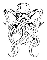 Octopus tattoo style drawing