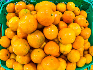 close up of group of orange cultivated on the vegetable garden of home - buying fruits at the supermarket to do diet