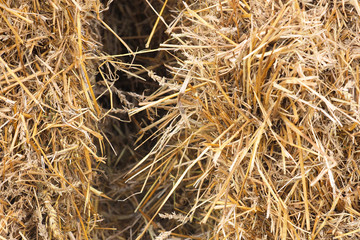 Golden straw bales closeup