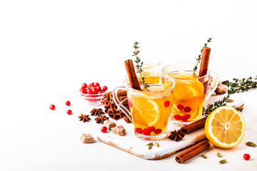 Winter or autumn healing hot tea with lemon, cranberries, thyme and spices, white background, copy space, selective focus