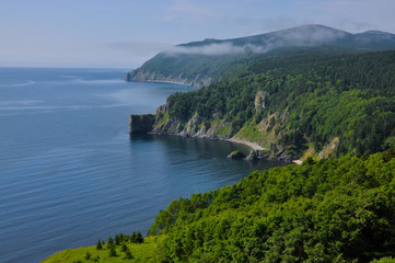 the coast of the Tatar Strait, a place where sea water meets the taiga